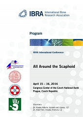 IBRA International Conference - All Around the Scaphoid - Overview 1
