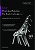 IBRA Seminar and Workshop - New Concepts in Scaphoid and Distal Radius Treatment - Overview 19