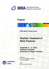 IBRA Master Training Course - Realistic Treatment of Wrist Fractures - Overview 1