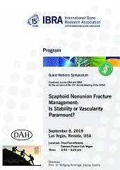Guest Nations Symposium: Scaphoid Nonunion Fracture Management: Is Stability or Vascularity Paramount? - Overview 1